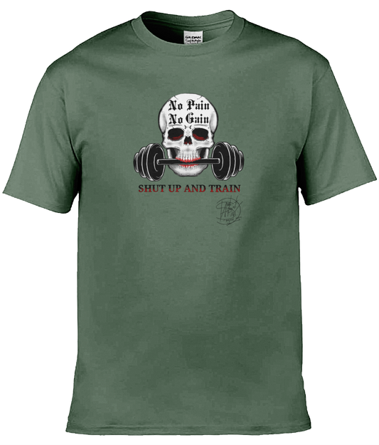 Gildan GD001 Softstyle Adult Ringspun T-Shirt No Pain No Gain